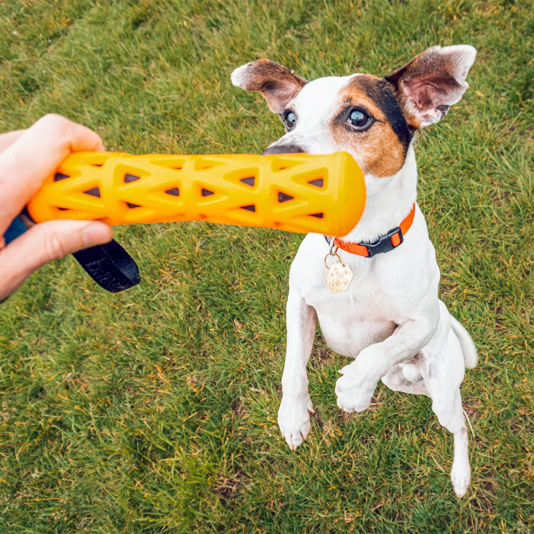 ebi- crack me up- stick- dog toy
