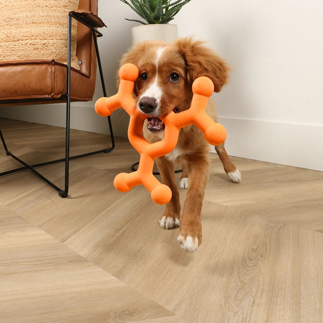 ebi- Dawg science dog toy - dog toy