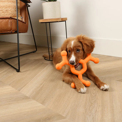 ebi- Dawg science dog toy - dog toy