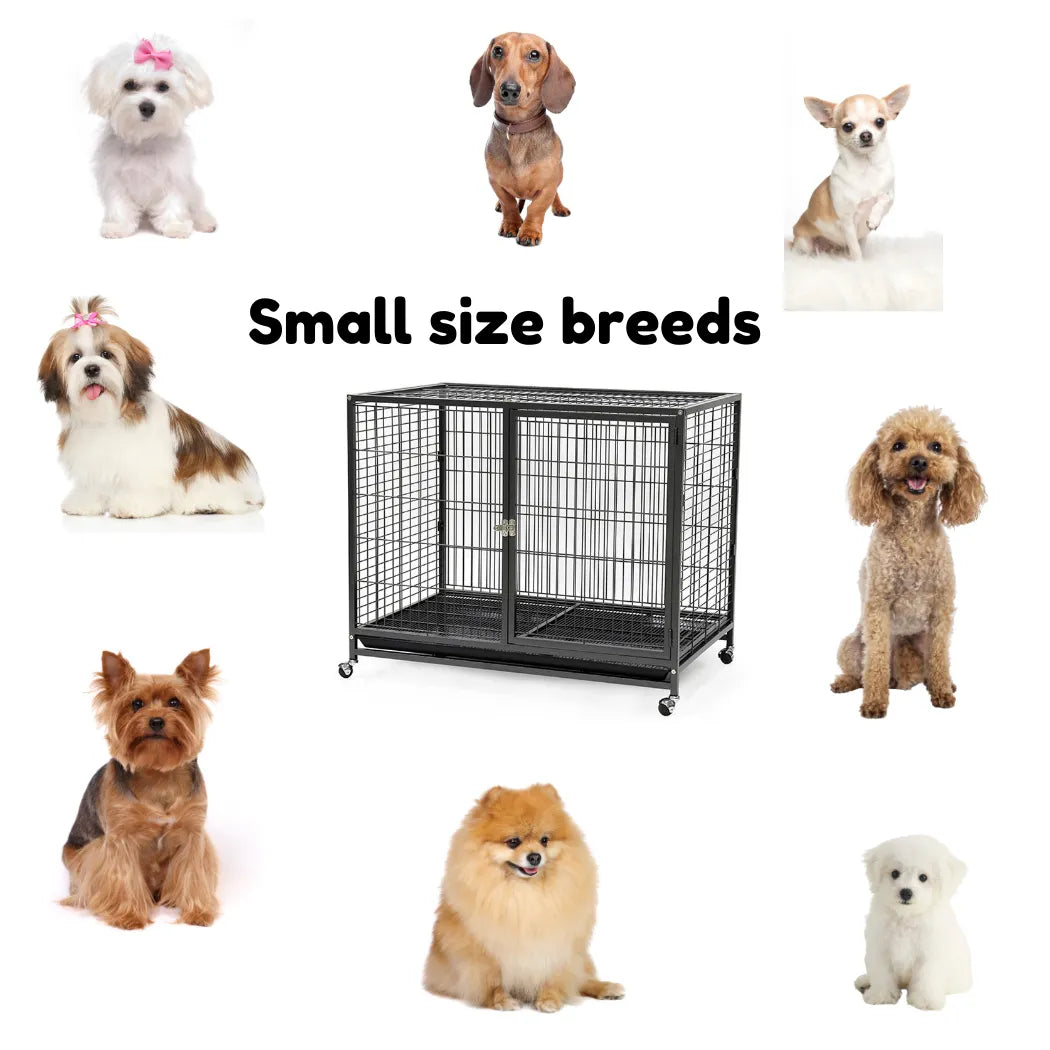 Dayang Large Dog cage - 074- dog cage