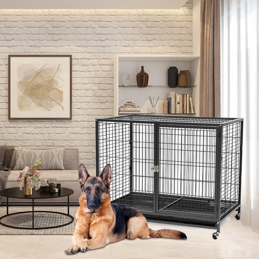 Dayang Large Dog cage - 074- dog cage