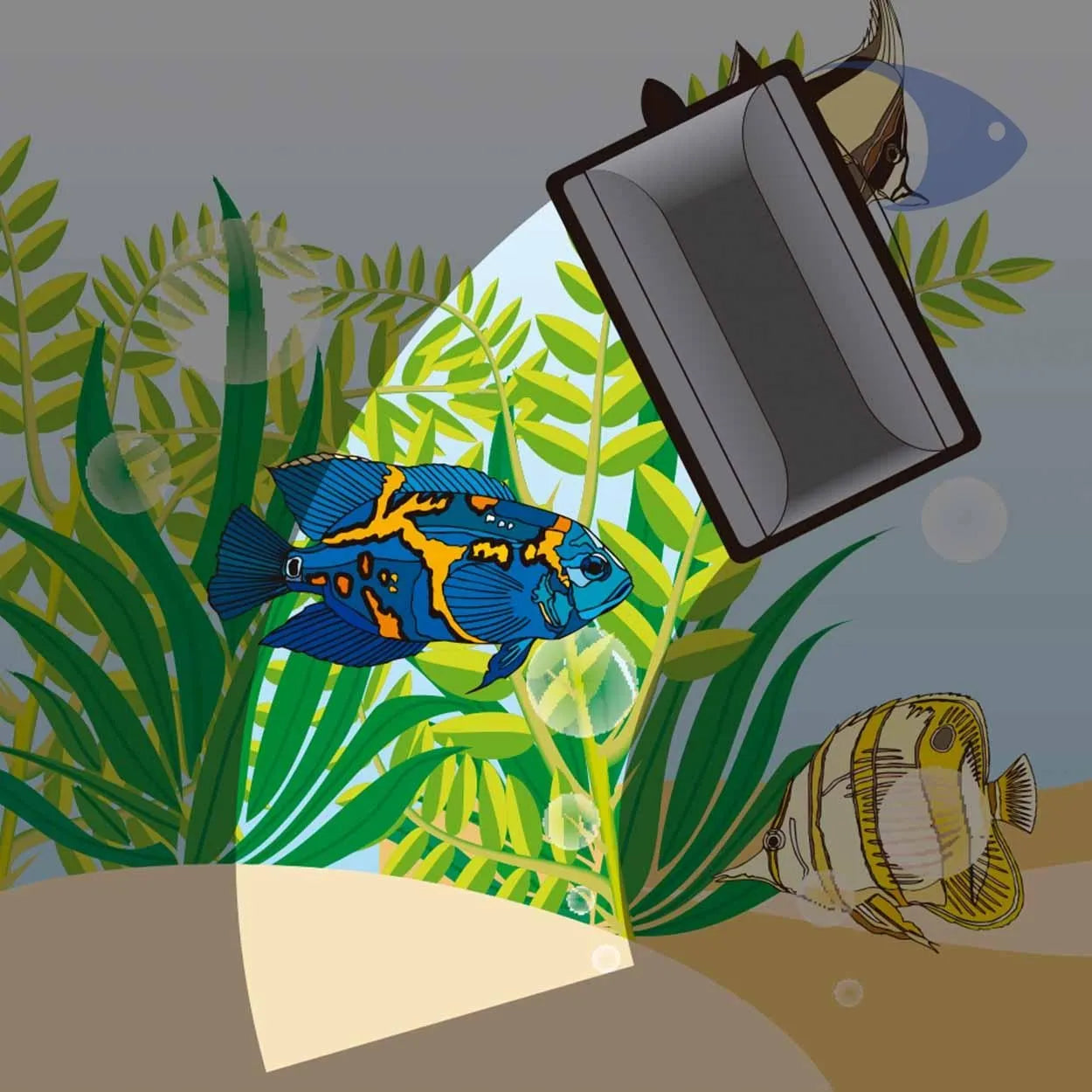 BOYU- Aquarium magnet cleaner- aquarium essentials