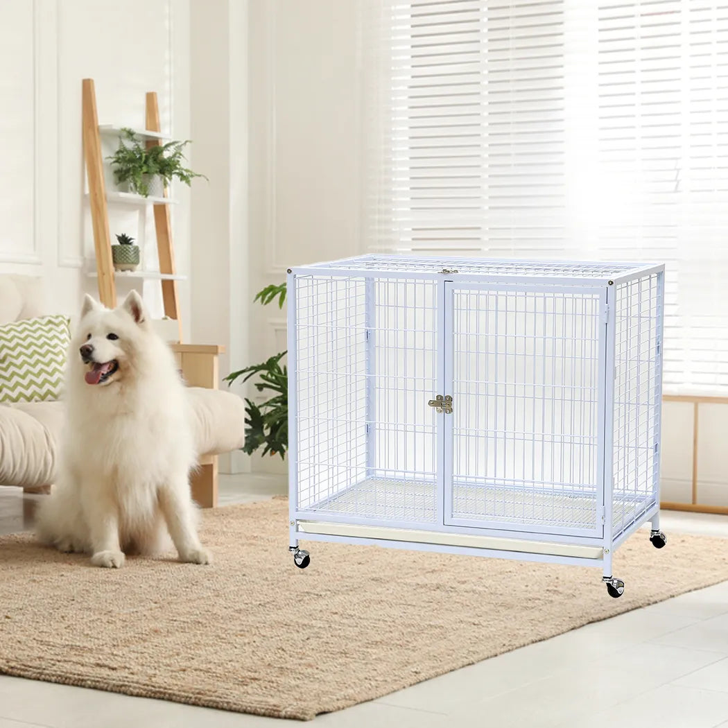Dayang dog cage- 073- dog cage