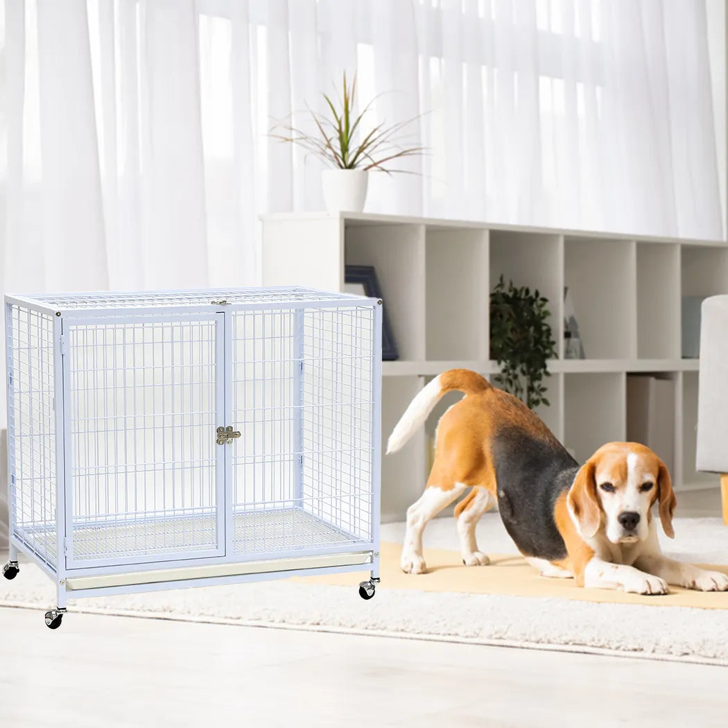 Dayang dog cage- 073- dog cage
