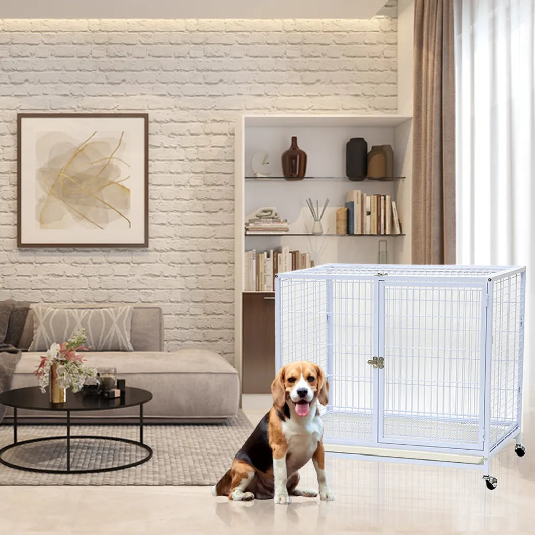 Dayang dog cage- 073- dog cage