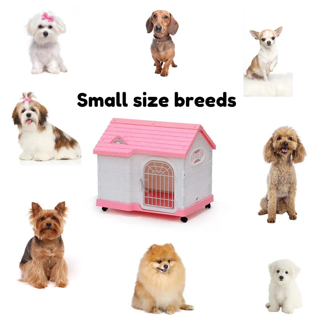 Dayang - puppy cage- 085- dog cage
