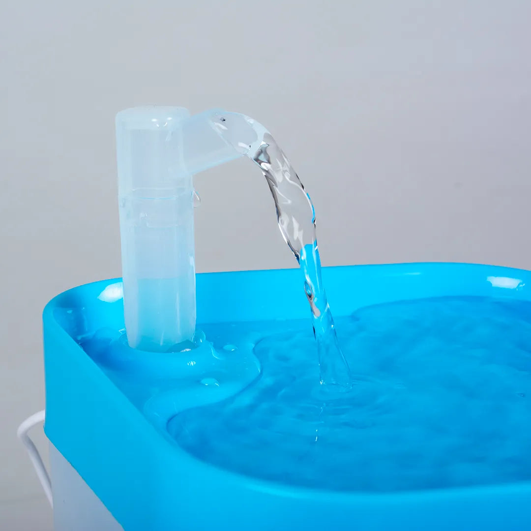 Duvo+ Transparent drinking fountain, dog travel essentials