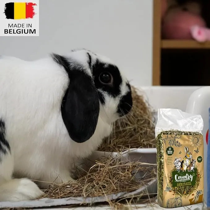 Country Blossom Hay with Carrot - 500gm small animal forage