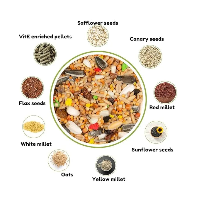 Country Large Parakeet & Cockatoo Seed Mix 600g - bird food
