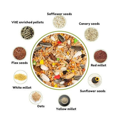 Country Large Parakeet & Cockatoo Seed Mix 600g - bird food