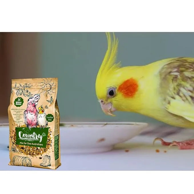 Country Large Parakeet & Cockatoo Seed Mix 600g - bird food