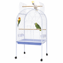 DAYANG A02 PREMIUM PARROT HABITAT WITH INTERACTIVE PLAYTOP & MOBILE STAND – 78 × 60 × 155.5 CM