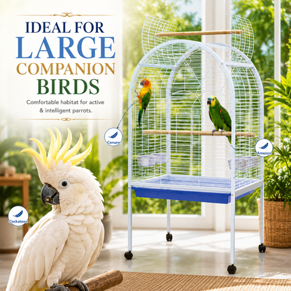 DAYANG A02 PREMIUM PARROT HABITAT WITH INTERACTIVE PLAYTOP & MOBILE STAND – 78 × 60 × 155.5 CM