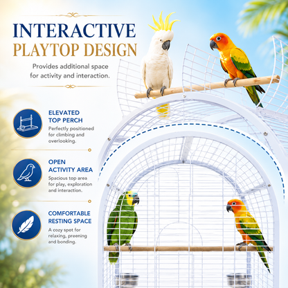 DAYANG A02 PREMIUM PARROT HABITAT WITH INTERACTIVE PLAYTOP & MOBILE STAND – 78 × 60 × 155.5 CM