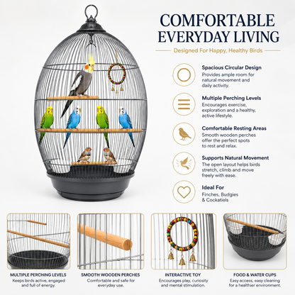 DAYANG 370 DECORATIVE HANGING BIRD CAGE FOR FINCHES, BUDGIES & COCKATIELS – 48.5 × 48.5 × 76 CM
