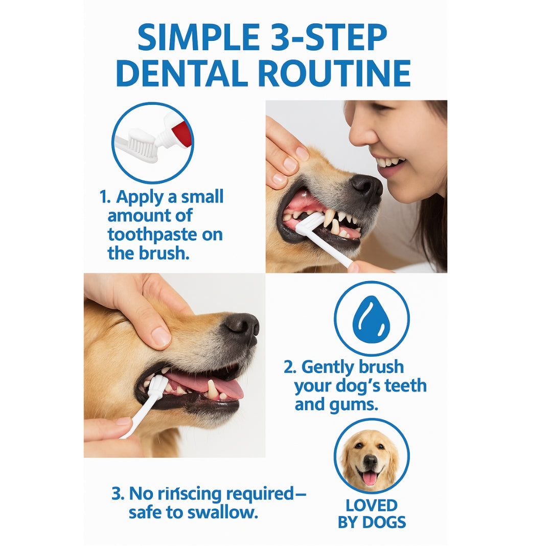 Bioline Dental Oral Care Kit,toothpaste with mint flavor -100g - pet grooming