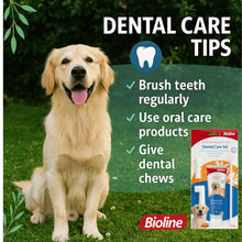 Bioline Dental Oral Care Kit,toothpaste with chicken flavor -100g - pet grooming