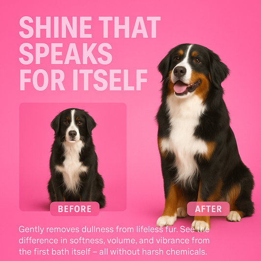 Duvo+ Revitalizing Shampoo - pet grooming