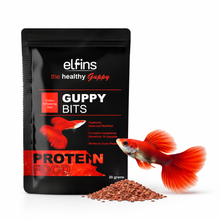 Guppy Fish Food Micro Pellets 20g