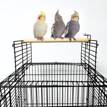 Dayang Large Vertical Bird Cage 830A