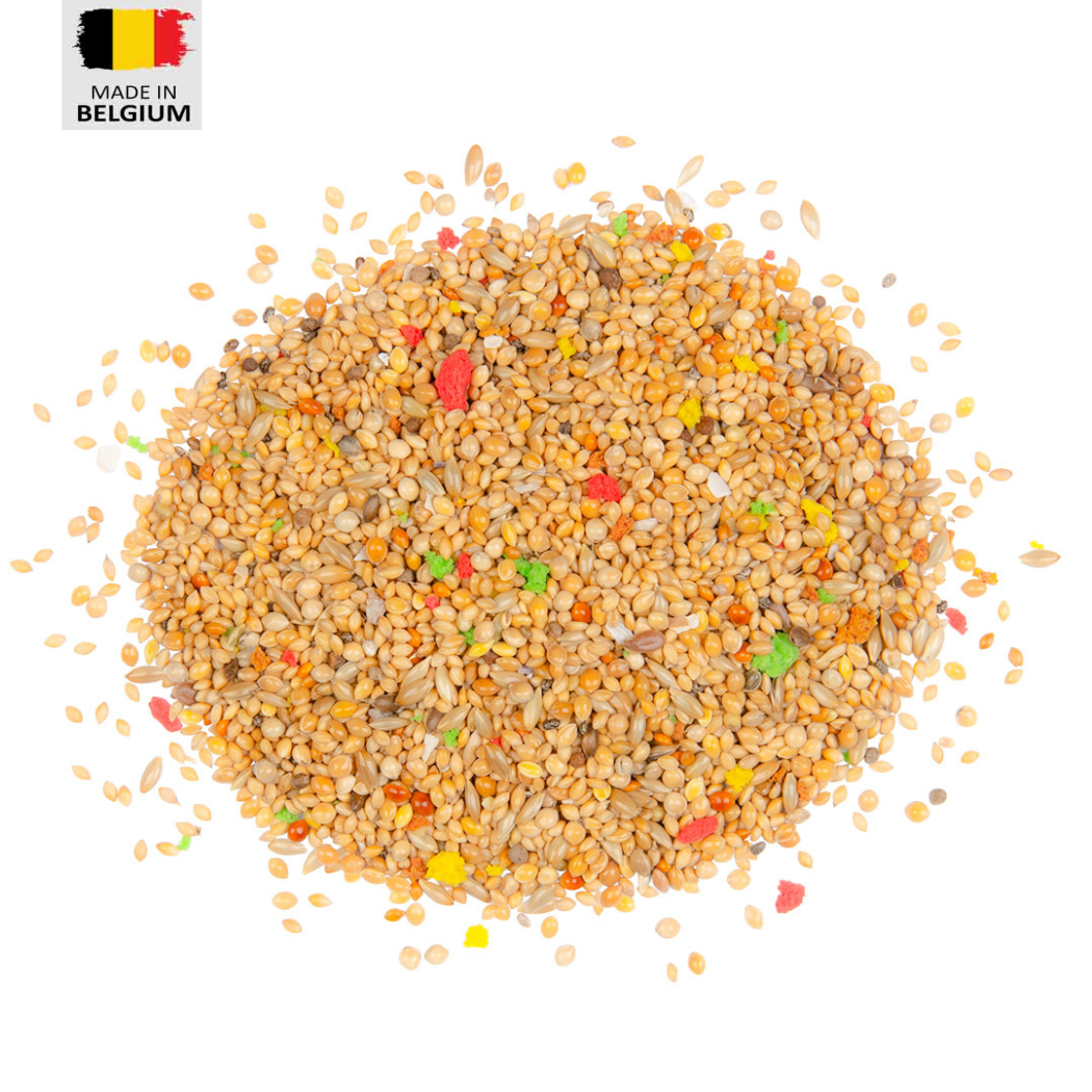Contry finches seed mix 600g - bird food