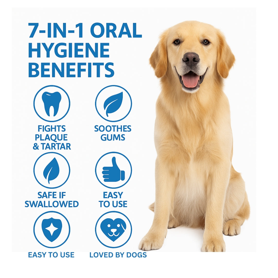 Bioline Dental Oral Care Kit,toothpaste with mint flavor -100g - pet grooming