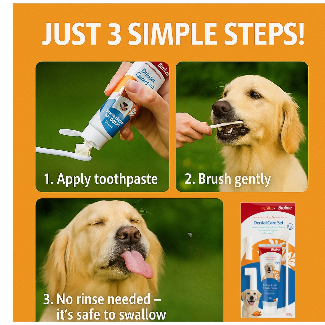 Bioline Dental Oral Care Kit,toothpaste with chicken flavor -100g - pet grooming