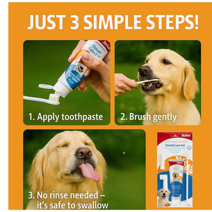 Bioline Dental Oral Care Kit,toothpaste with chicken flavor -100g - pet grooming