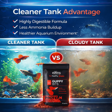 Guppy Fish Food Micro Pellets 20g