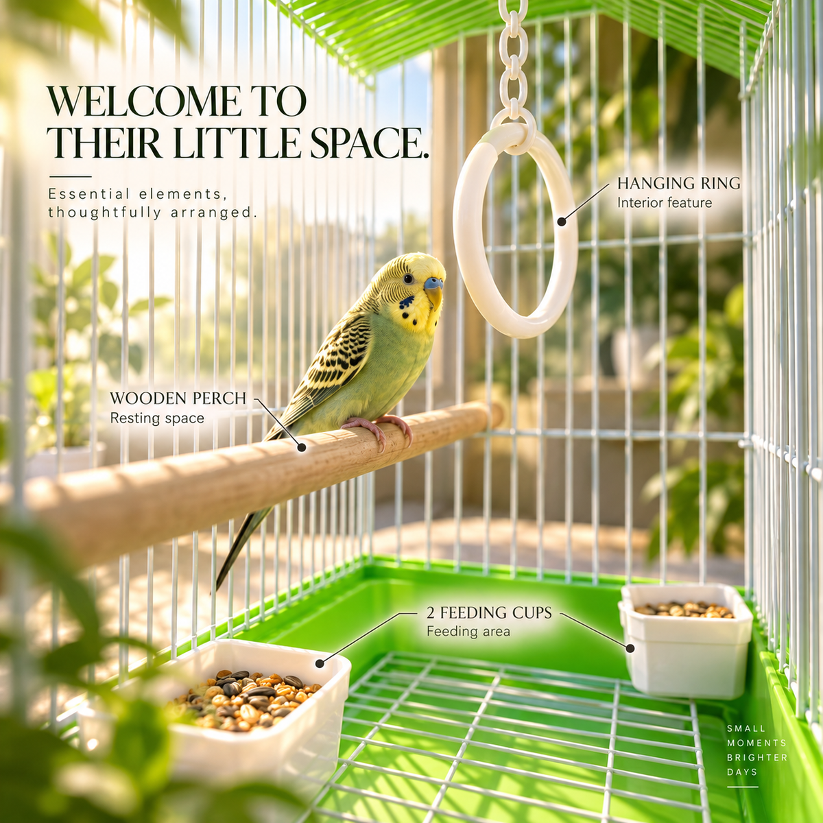 Green & White Premium Bird Cage – 30 × 23 × 29 CM