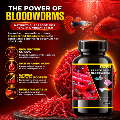 Freeze Dried Bloodworms Fish Food 100ml