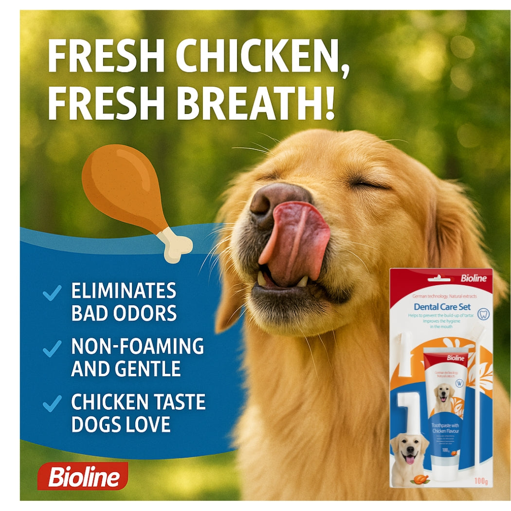 Bioline Dental Oral Care Kit,toothpaste with chicken flavor -100g - pet grooming
