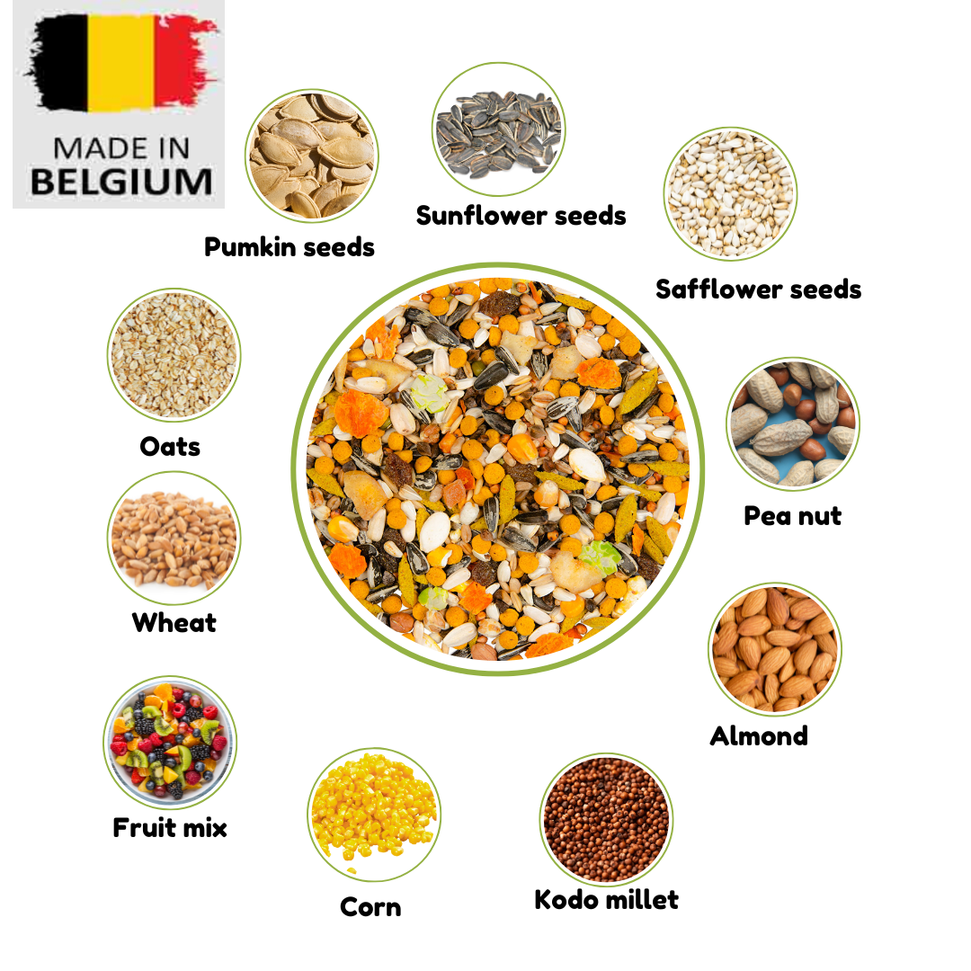 Country African grey parrot seed mix- 2kg bird food
