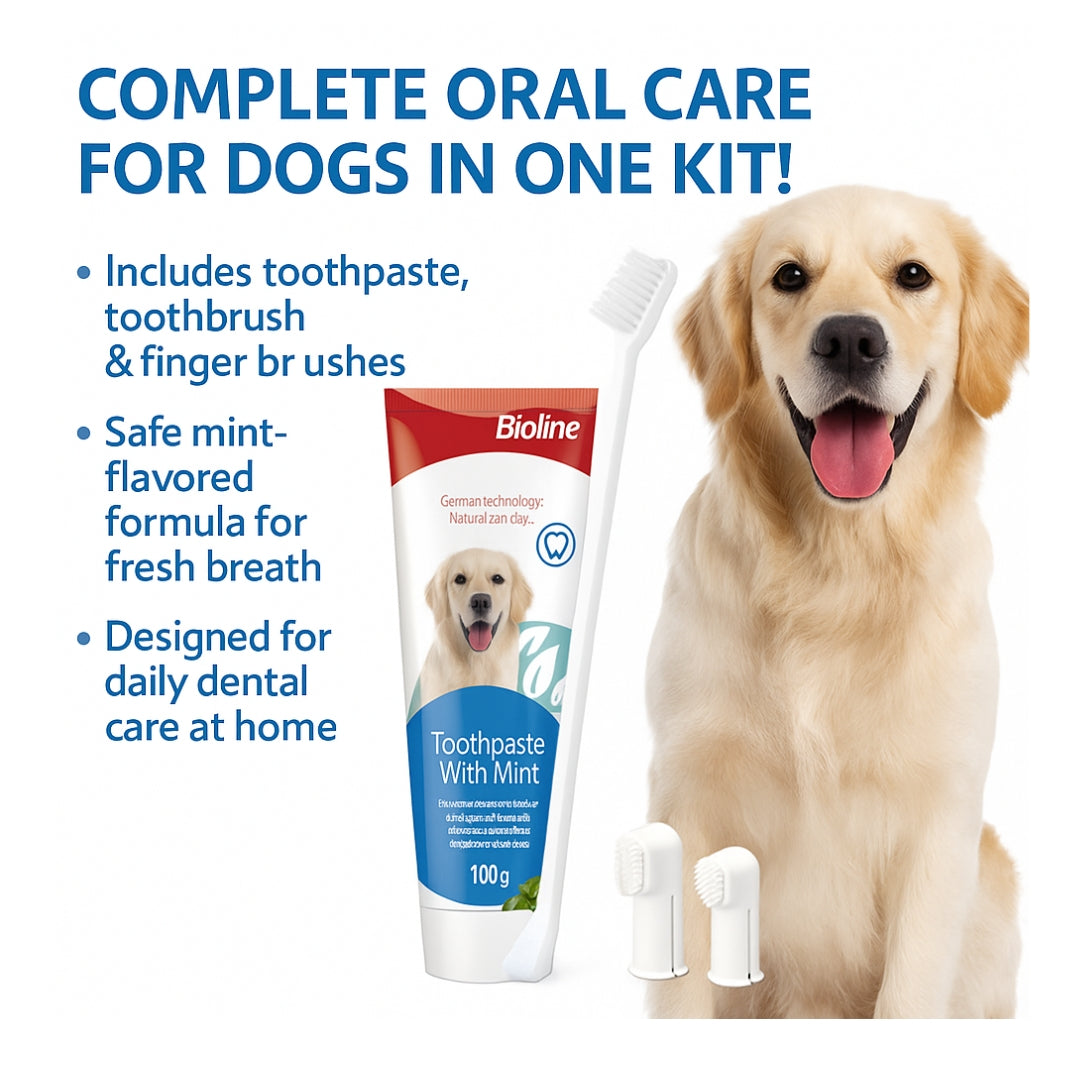 Bioline Dental Oral Care Kit,toothpaste with mint flavor -100g - pet grooming