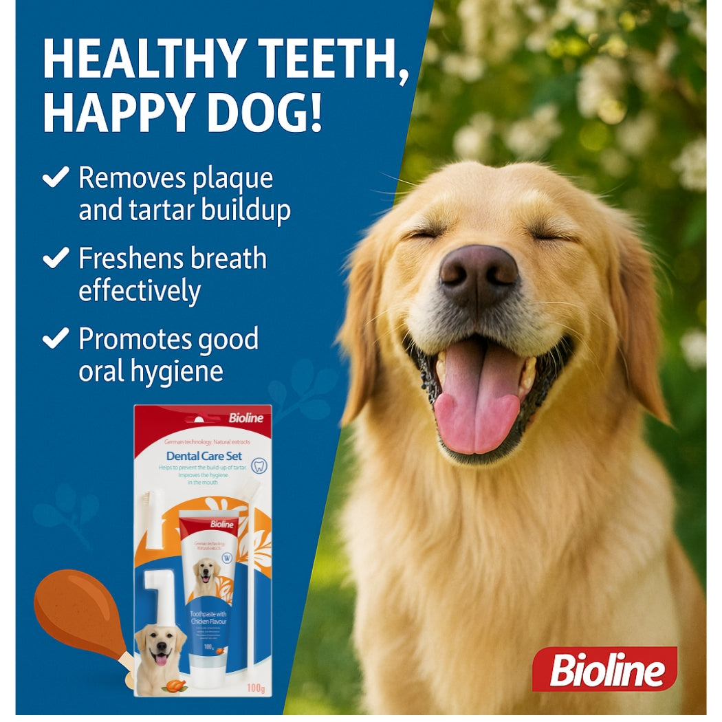 Bioline Dental Oral Care Kit,toothpaste with chicken flavor -100g - pet grooming
