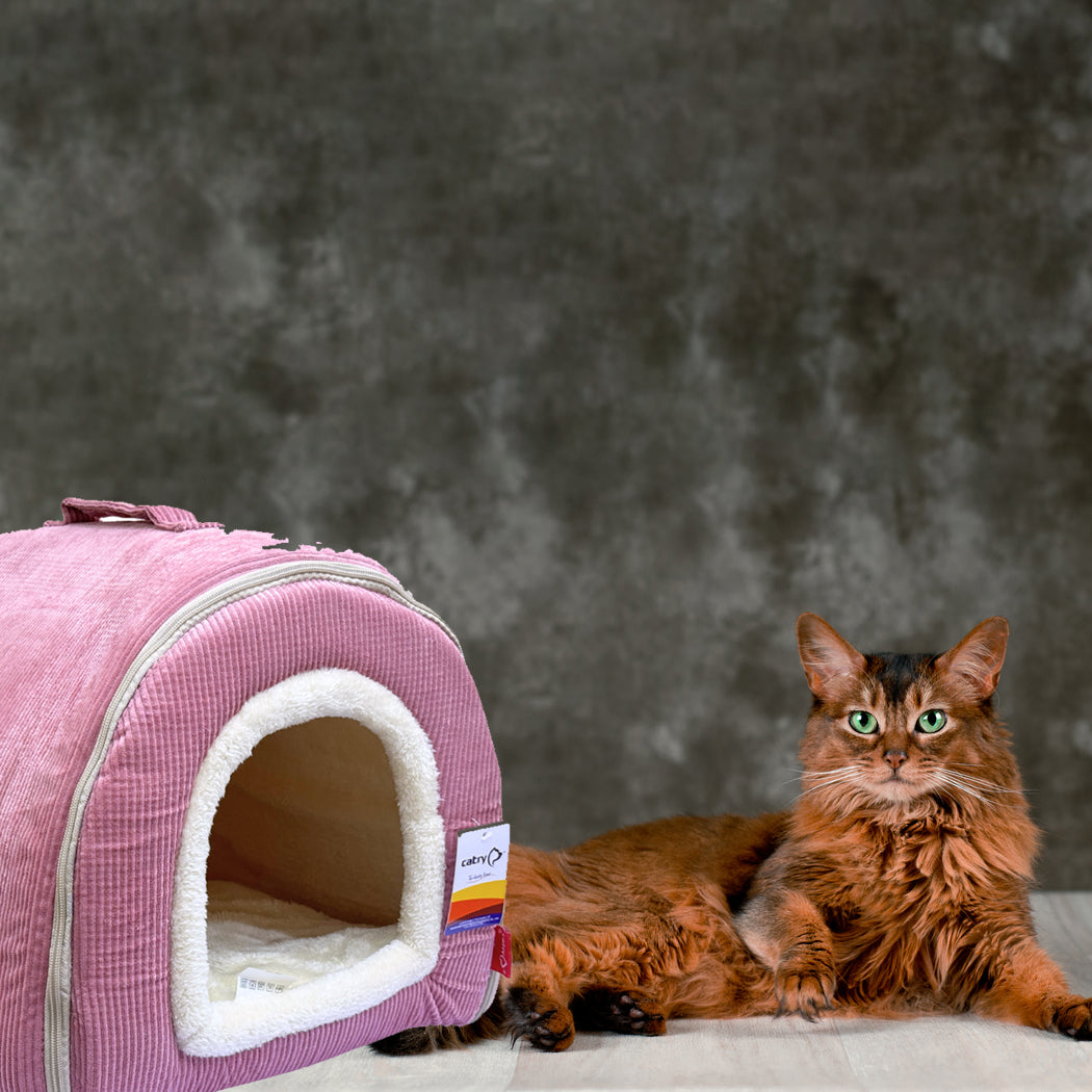Catry CozyCave  Deluxe Cat Bed