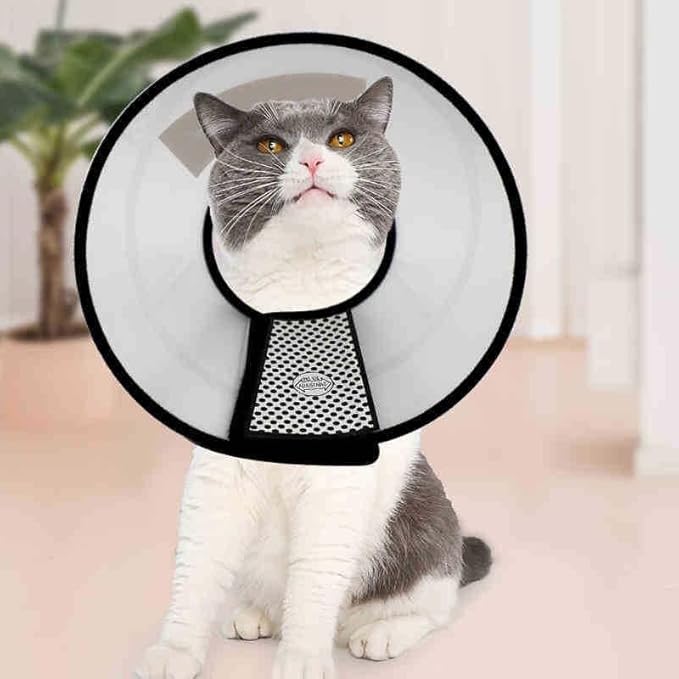 Petbroo Vet Collar – Adjustable, Lightweight, and Comfortable  vet collar - grooming tools