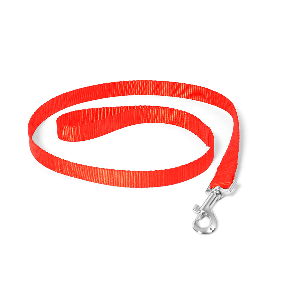 Duvo+ Nylon lead red, dog walking essentials