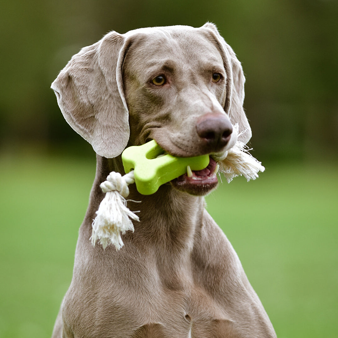 Duvo+ Eco rubber flat bone bamboo/rice + cotton Mixed colors - dog toy
