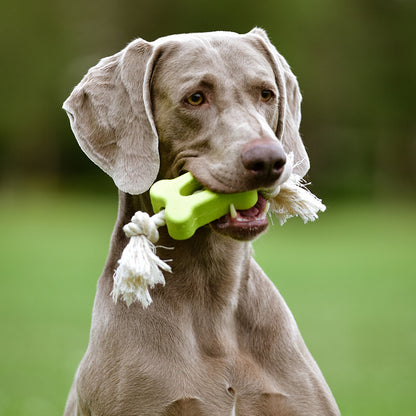 Duvo+ Eco rubber flat bone bamboo/rice + cotton Mixed colors - dog toy