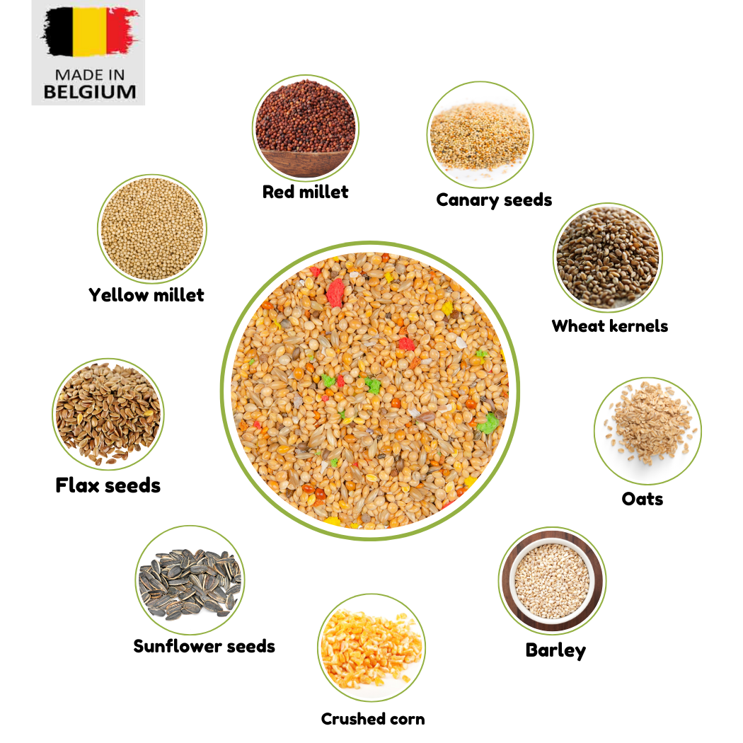 Contry finches seed mix 600g - bird food