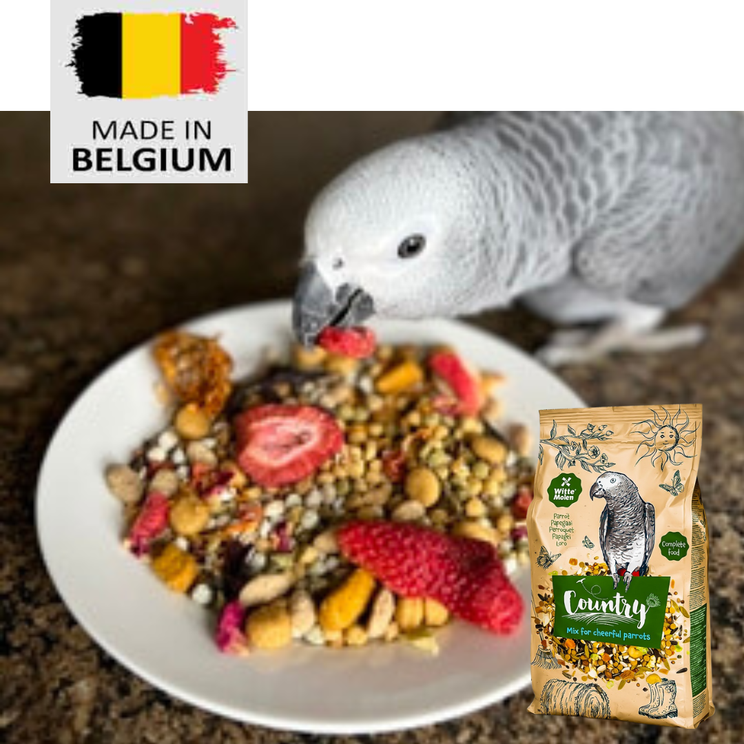 Country African grey parrot seed mix- 2kg bird food