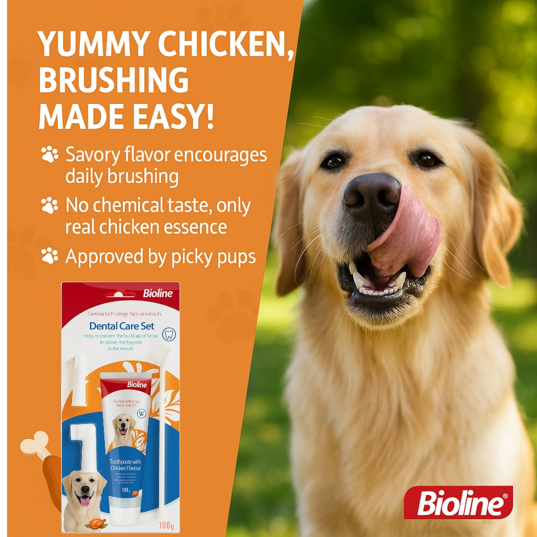 Bioline Dental Oral Care Kit,toothpaste with chicken flavor -100g - pet grooming