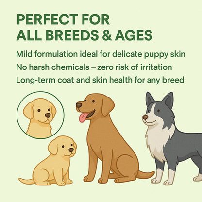 Duvo+ hypoallergenic shampoo- pet grooming