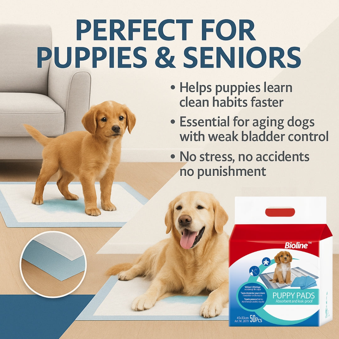 Puppy training pads 60*90cm | 20pcs