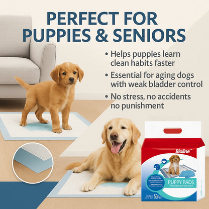 Puppy training pads 60*90cm | 20pcs