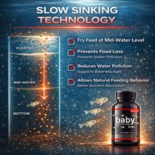 Baby Fish Food for Fry Growth