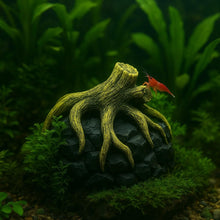 Natural Driftwood Root Aquarium Decoration 15×13×12 cm