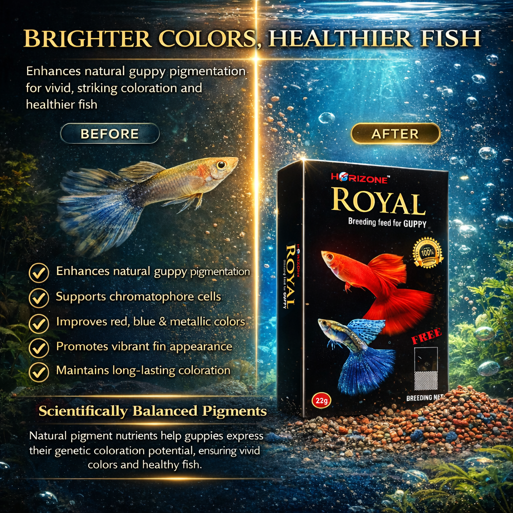 Guppy Breeding Fish Food Micro Pellets Three Box Pack (3 x 22 g)