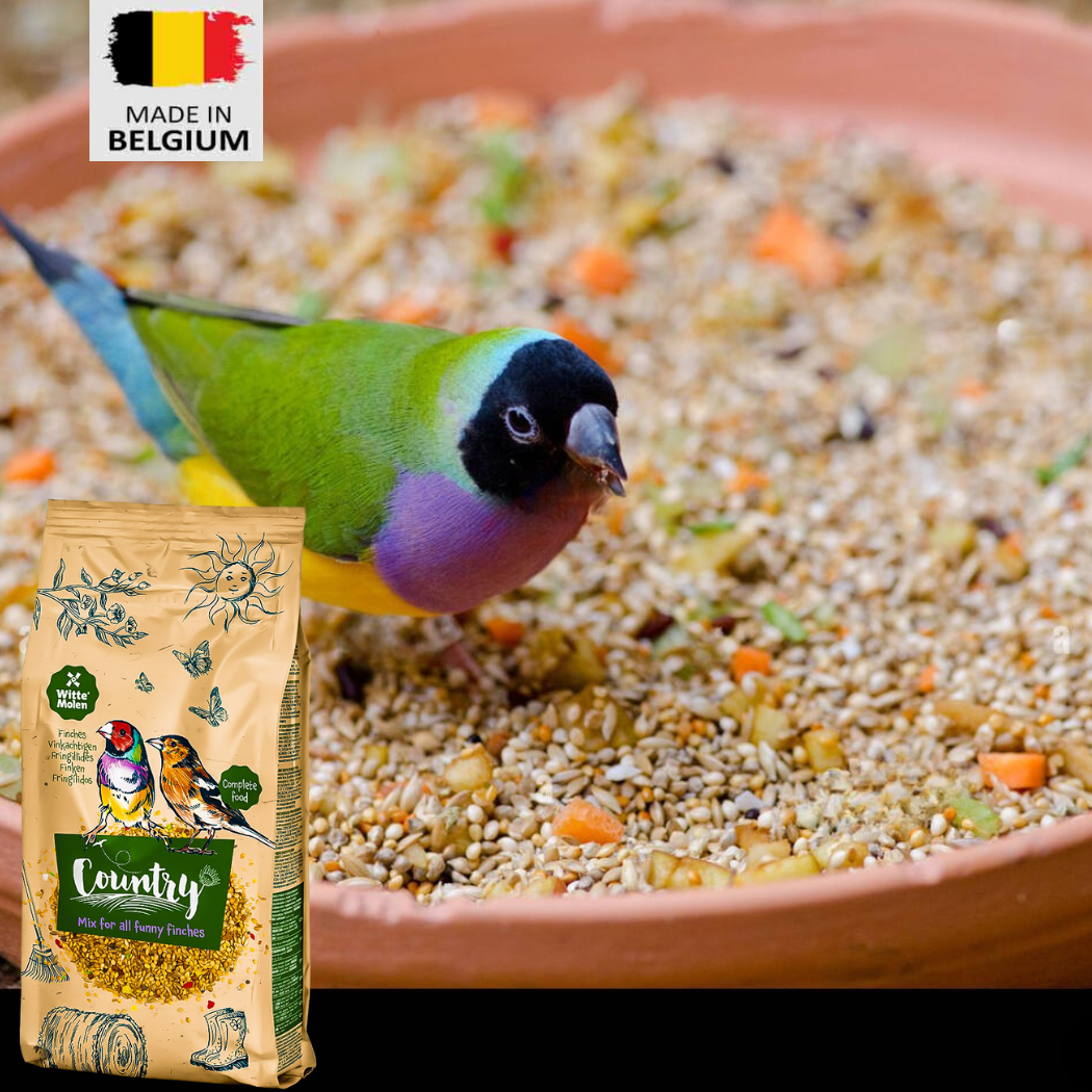 Contry finches seed mix 600g - bird food